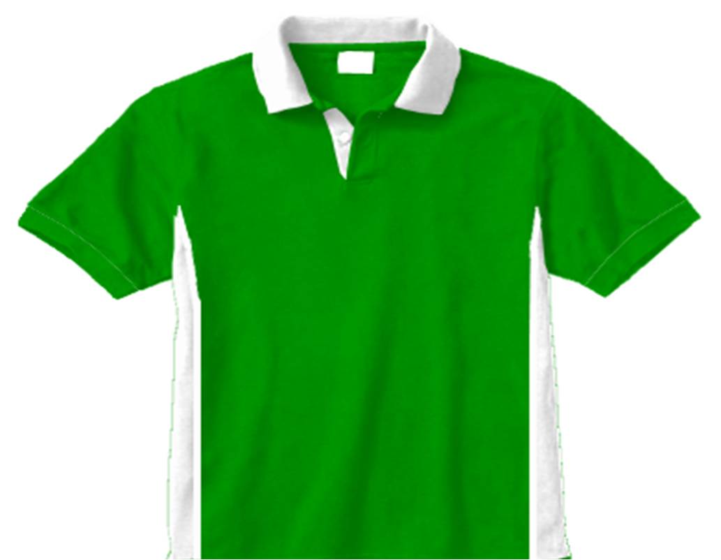 Men's blank T- shirts